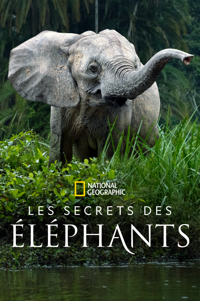 affiche du documentaire les secrets des éléphants de James Cameron